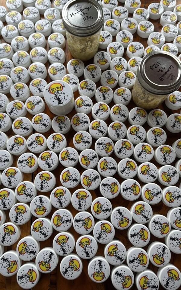 Mr Miyagi Hash