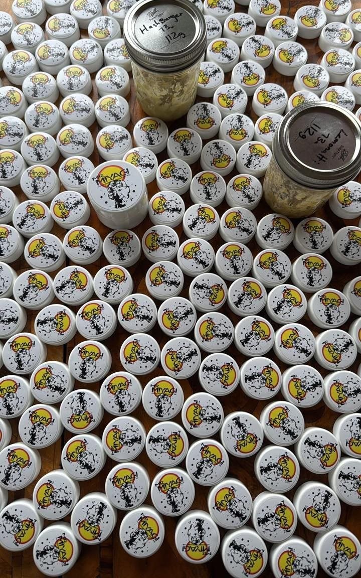 Mr Miyagi Hash